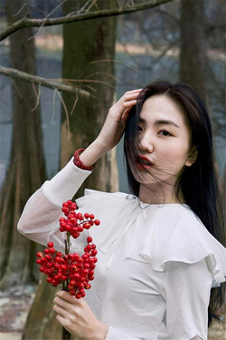 应用安装步骤示意图